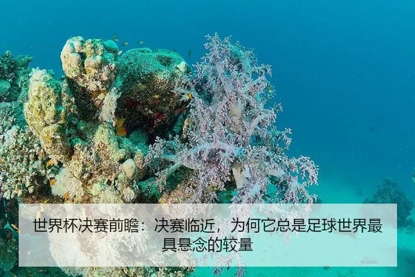 shi-jie-bei-jue-sai-qian-zhan-jue-sai-lin-jin-wei-he-ta-zong-shi-zu-qiu-shi-jie-zui-ju-xuan-nian-de-jiao-liang-2-169.jpg