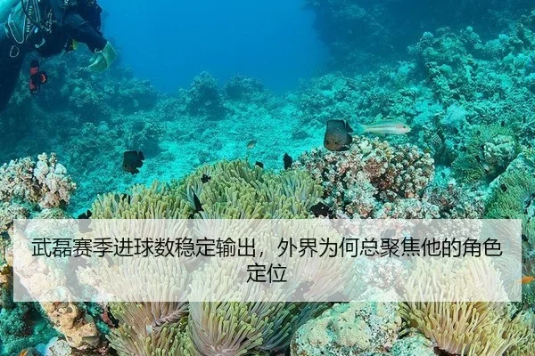 武磊赛季进球数稳定输出，外界为何总聚焦他的角色定位 | hth
